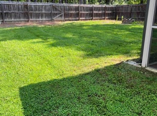 Matthew j.'s Yard Cutting service result