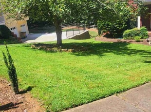 Robert L.'s Lawn Service service result