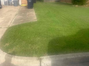 Princess N.'s Lawn Care service result