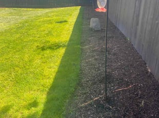 Andrew M.'s Lawn Mowing service result