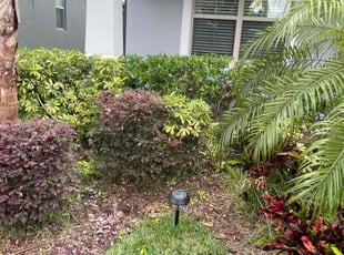Bush Trimming by Jaylon Fair for Ryan A. in Apopka, FL