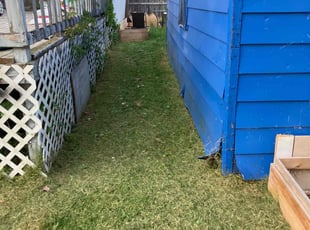 Mia M.'s Yard Cutting service result