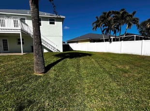 Xiomara L.'s Yard Cutting service result