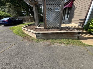 Weeding by Fidel Rodriguez for Kim Z. in Alexandria, VA