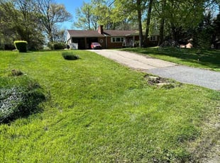Michael V.'s Lawn Maintenance service result