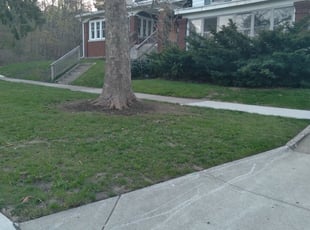 Leaf Removal by Jacob Jumper for Megan J. in Grand Rapids, MI