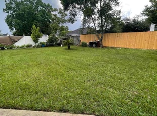 Thomas D.'s Lawn Service service result
