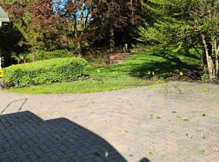 Bush Trimming by Chris Tartamella for Shapoor A. in Bloomfield Hills, MI