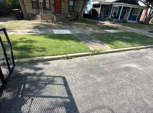Tammy S.'s Lawn Mowing service result