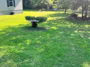Katrina A.'s Lawn Care service result