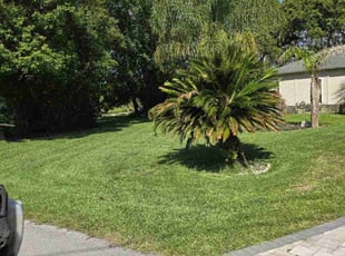 Letitia R.'s Lawn Maintenance service result