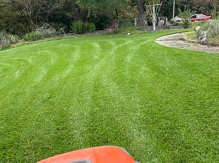 Wolfgang H.'s Lawn Service service result