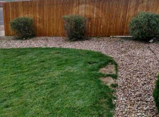Bush Trimming by Jay Bradley for Libby L. in Colorado Springs, CO
