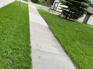 Bush Trimming by Dontrell Hood for Nisha R. in Milwaukee, WI