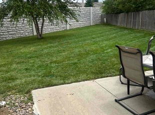 Felicia E.'s Lawn Service service result