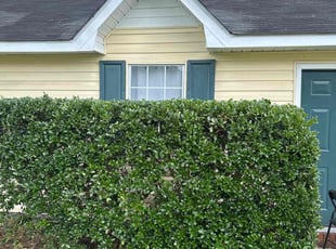 Bush Trimming by Shawn Palmer for Barbara N. in Jacksonville, NC