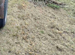 Cleanups by Ronnie Weaver for Pedro N. in Eight Mile, AL