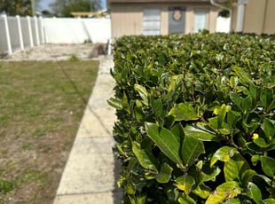 Bush Trimming by Harold Cummings for James S. in Palm Bay, FL