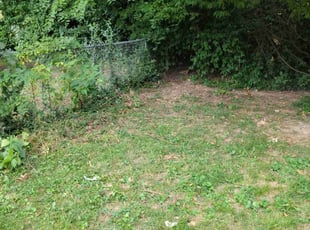 Cleanups by Donnie Jeffries for Loguen L. in Springfield, MO