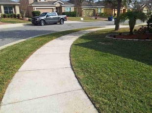Emmanuel E.'s Lawn Mowing service result