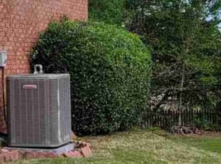 Bush Trimming by Shane Carter for Cynthia Y. in Buford, GA