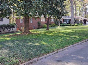 Andrede N.'s Lawn Mowing service result