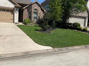 Nikia F.'s Lawn Mowing service result