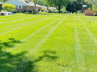 Spencer P.'s Lawn Care service result