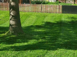Charles P.'s Grass Cutting service result