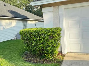 Weeding by Delson Auguste for Maksym B. in Orange Park, FL