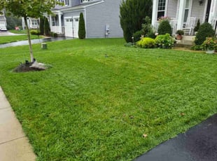 Suzanna C.'s Lawn Service service result