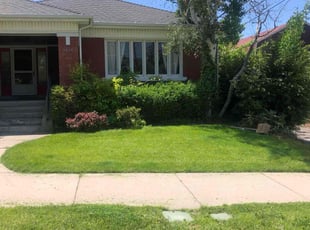 Vivian G.'s Yard Cutting service result