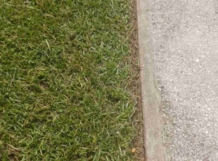 Jordan D.'s Lawn Mowing service result