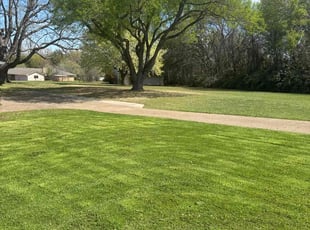 Bishop M.'s Lawn Mowing service result