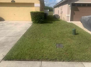 Bush Trimming by Jay Jesse for Alba G. in Orlando, FL