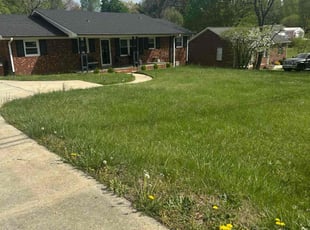 Amanda F.'s Grass Cutting service result
