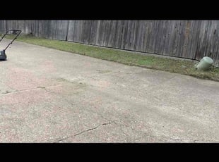 Weeding by Daniela Silva for Anthony N. in Arlington, TX