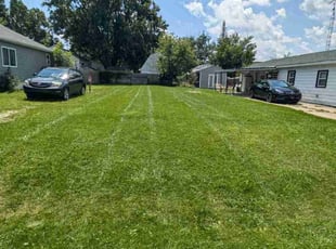 Sandra A.'s Lawn Mowing service result