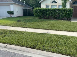 Stephanie A.'s Lawn Service service result