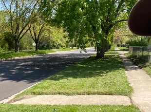 LYNN L.'s Lawn Care service result