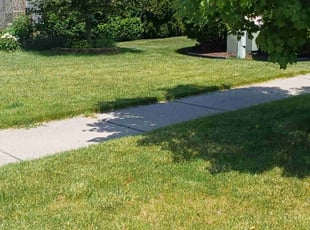 Bryan R.'s Lawn Service service result