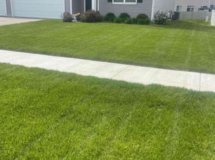 Anton W.'s Lawn Care service result