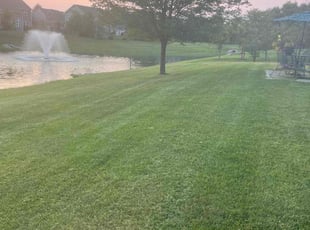 Jeffrey T.'s Yard Cutting service result