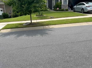 Renee E.'s Lawn Care service result