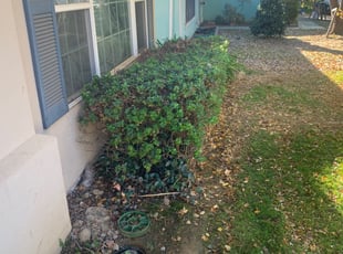 Bush Trimming by Jonathan Allen for Lawn S. in Sacramento, CA