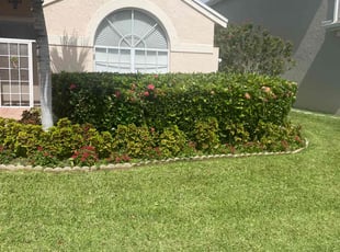 Bush Trimming by Charles Walton for Zan R. in Boynton Beach, FL
