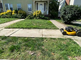 George W.'s Lawn Care service result