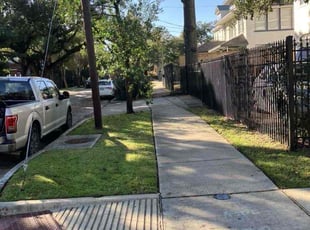 Komal K.'s Lawn Service service result