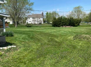 Patrick W.'s Lawn Mowing Service service result