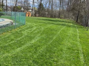 James P.'s Lawn Care service result
